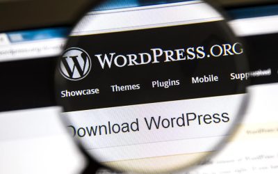 Web Design With WordPress For a Successful Online Business