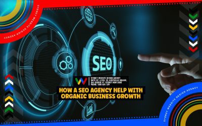 How A SEO Agency Help With Organic Business Growth