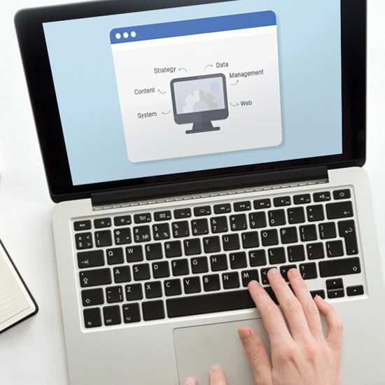 Web Design Sydney Australia B8